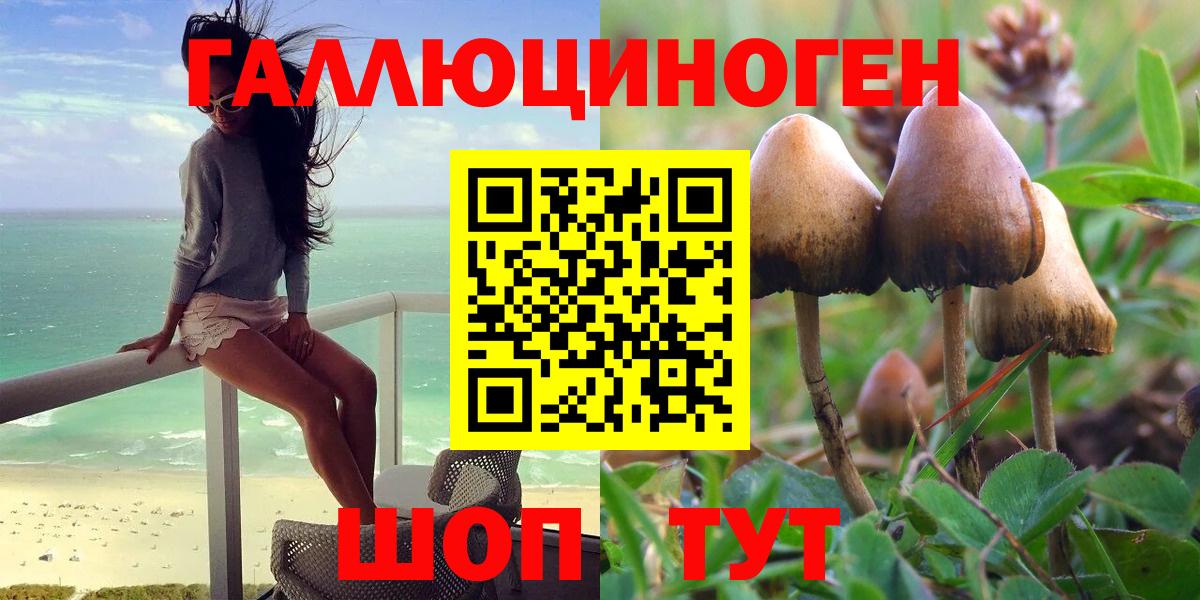 Галлюциногенные грибы GOLDEN TEACHER  Вход с VPN  Новоалександровск 